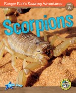Scorpions (Read Along or Enhanced eBook)