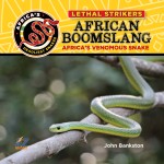 African Boomslang: Africa's Most Venomous Snake