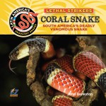 Coral Snake: South America's Deadly Venomous Snake