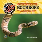 Bothrops: South America's Highly Venomous Snake