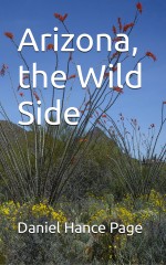 Arizona, the Wild Side