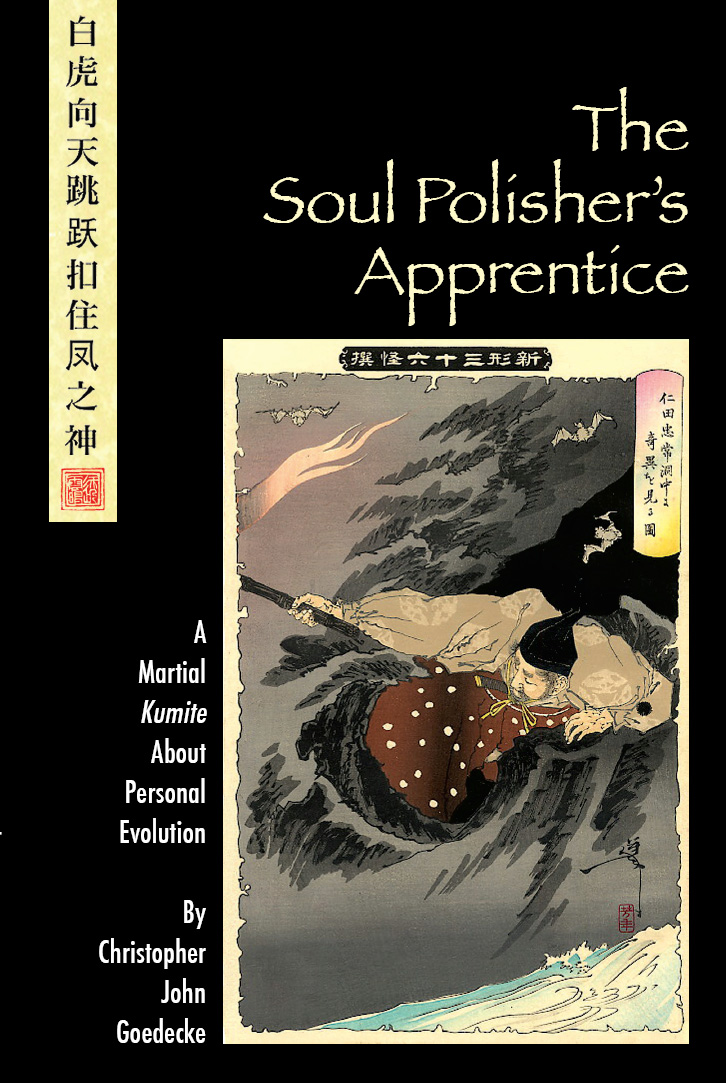 The Soul Polisher’s Apprentice: A Martial Kumite About Personal Evolution