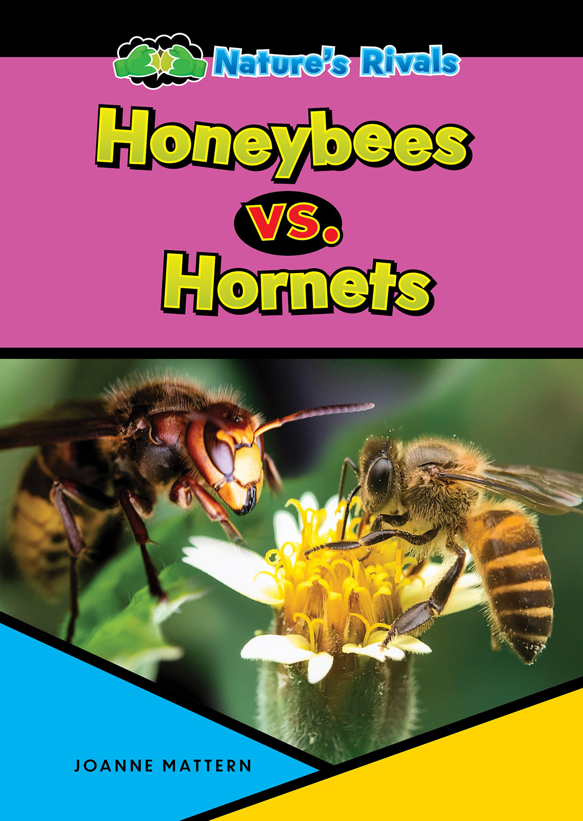 Honeybees vs. Hornets
