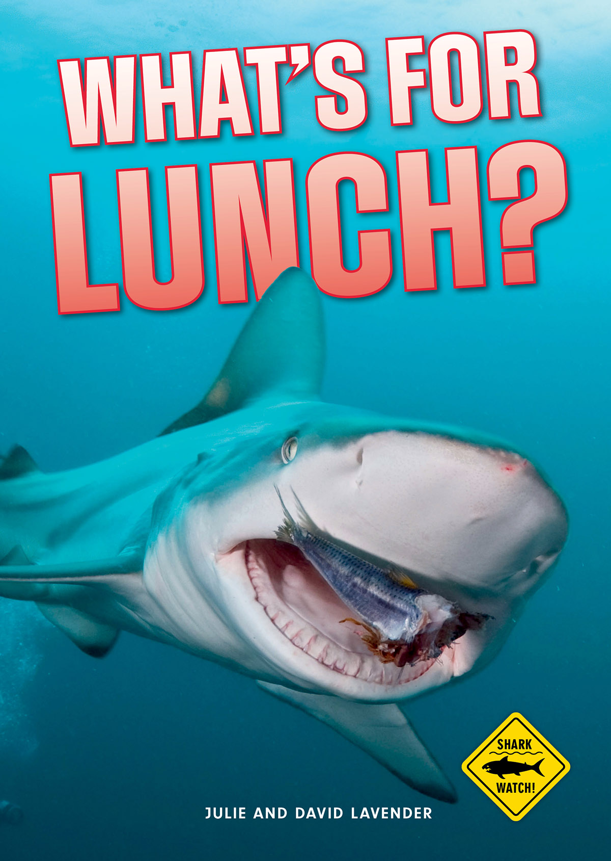What's for Lunch?