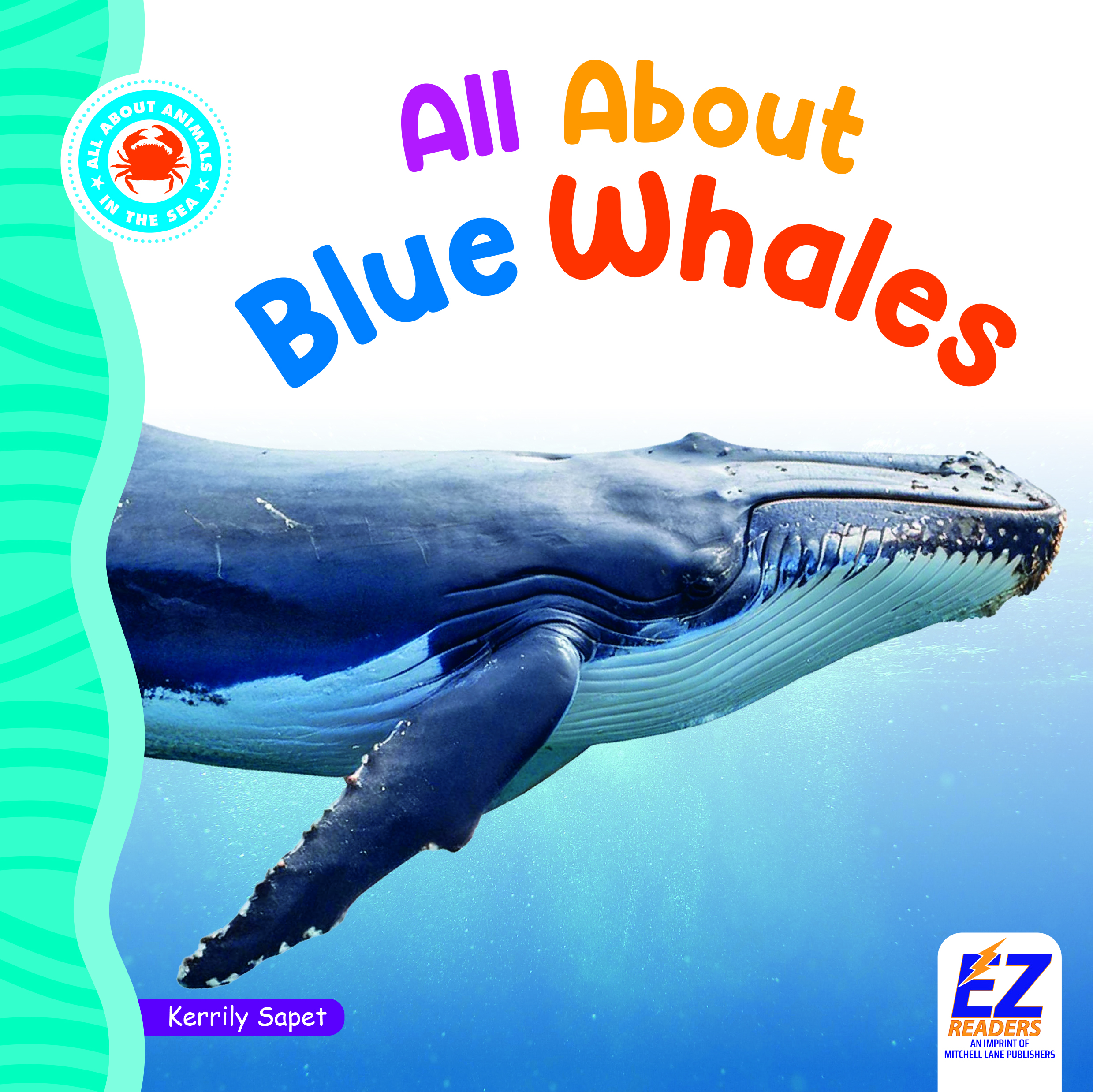 All About Blue Whales
