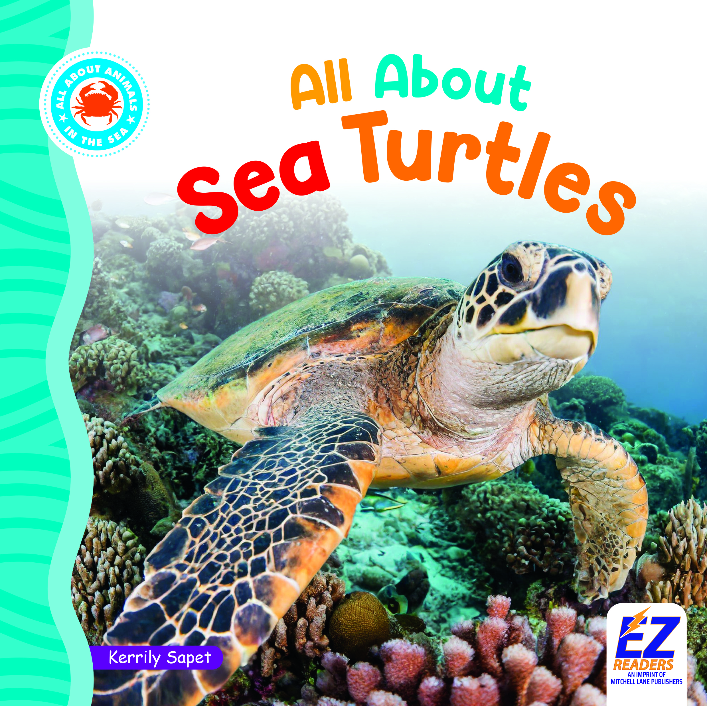 All About Sea Turtles