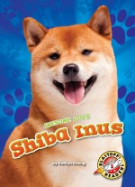 Shiba Inus