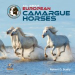 All About European Camargue Horses