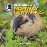 All About European Norway Lemmings