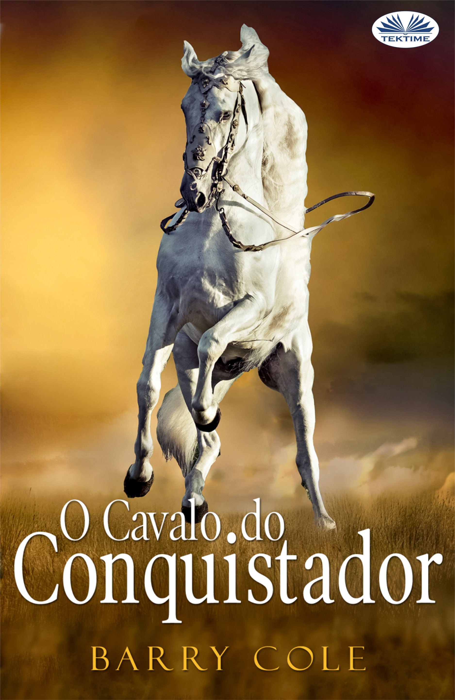 O Cavalo.do Conquistador