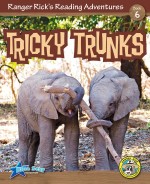 Tricky Trunks (Read Along or Enhanced eBook)