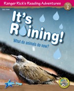 It's Raining!: What do Animals Do Now? (Read Along or Enhanced eBook)
