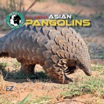 All About Asian Pangolins