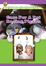Care for a Pet Racing Pigeon