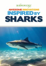 Awesome Innovations Inspired by Sharks