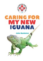 Caring for My New Iguana