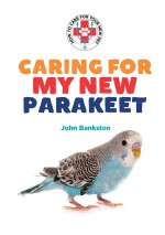 Caring for My New Parakeet