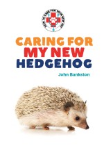 Caring for My New Hedgehog