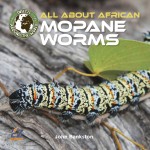All About African Mopane Worms