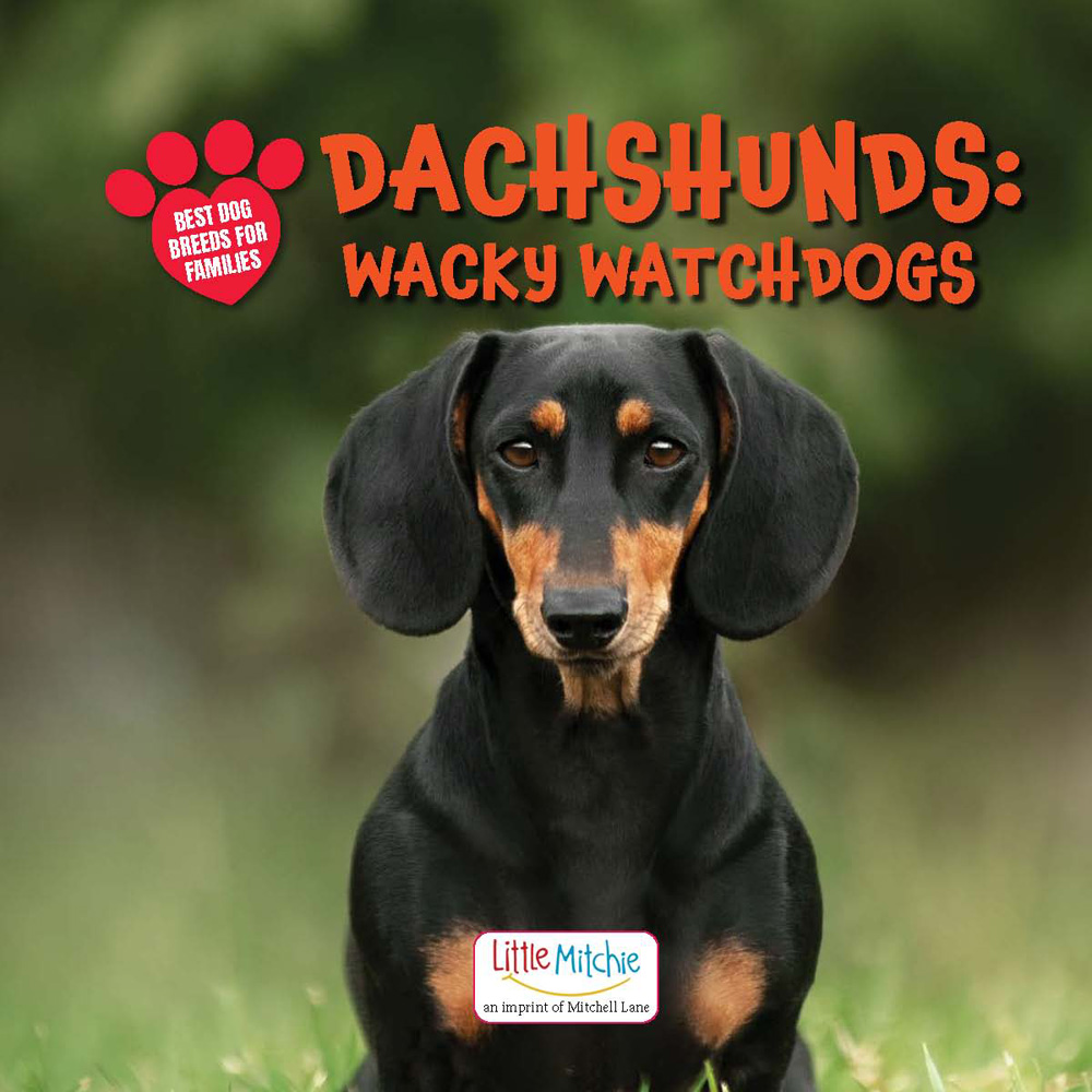 Dachshunds: Wacky Watchdogs