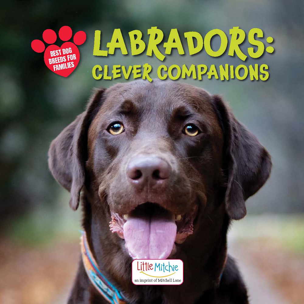 Labradors: Clever Companions
