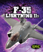F-35 Lightning IIs