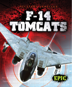 F-14 Tomcats