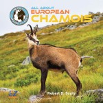 All About European Chamois