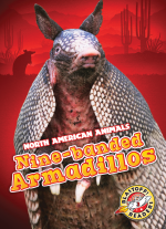Nine-banded Armadillos