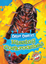 Hissing Cockroaches