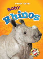 Baby Rhinos