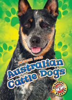 Australian Cattle Dogs