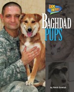 Baghdad Pups