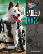 Disabled Dogs