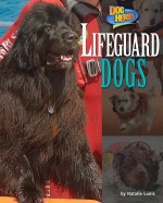 Lifeguard Dogs