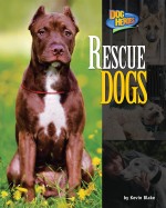 Rescue Dogs
