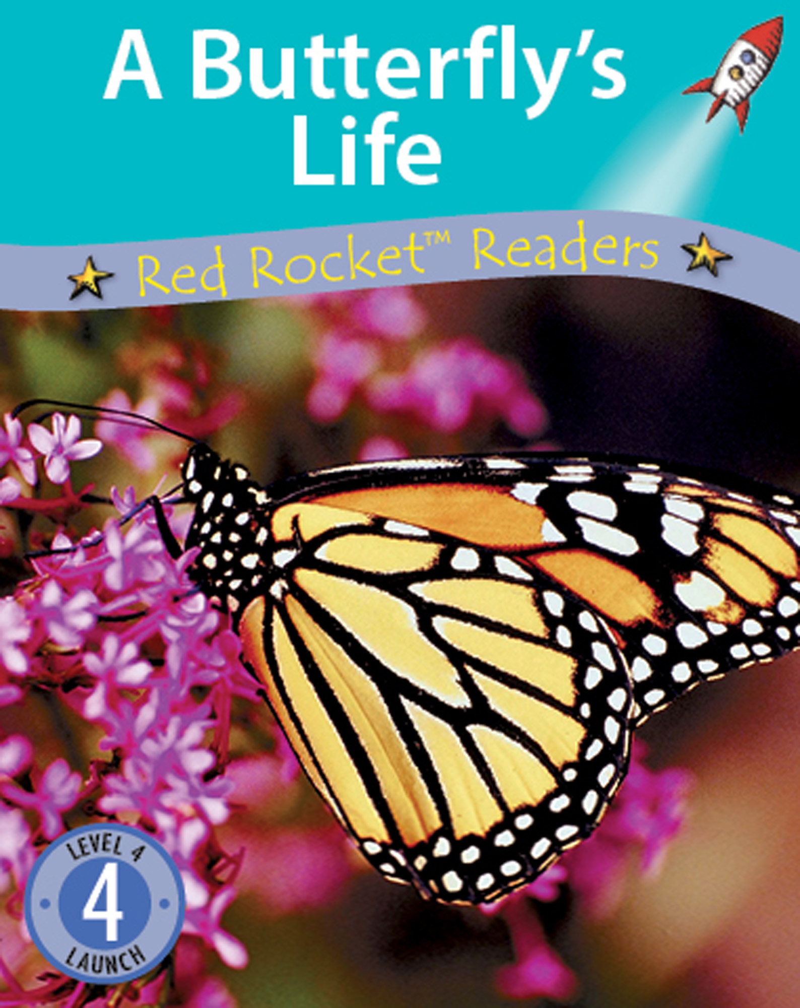 A Butterfly's Life (Readaloud)