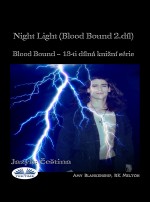 Night Light (Blood Bound 2.díl)